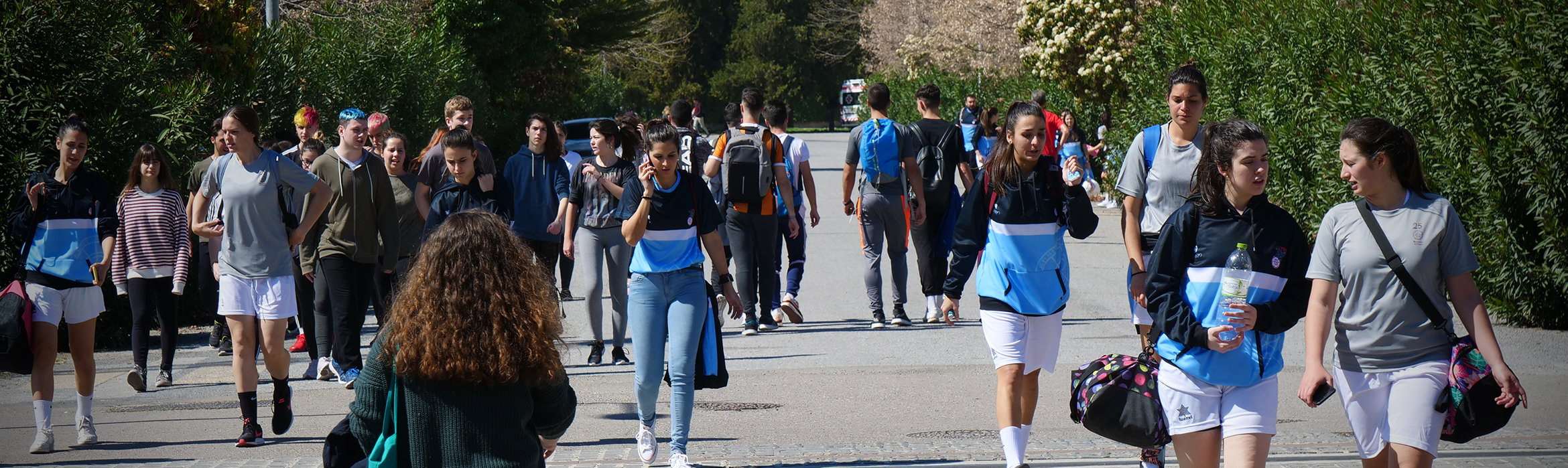 Estudiantes caminando por los paseillos universitarios